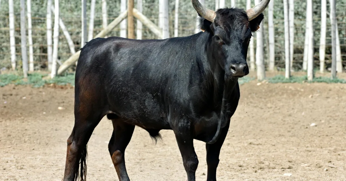 Downtown Cimarron, KS, KS