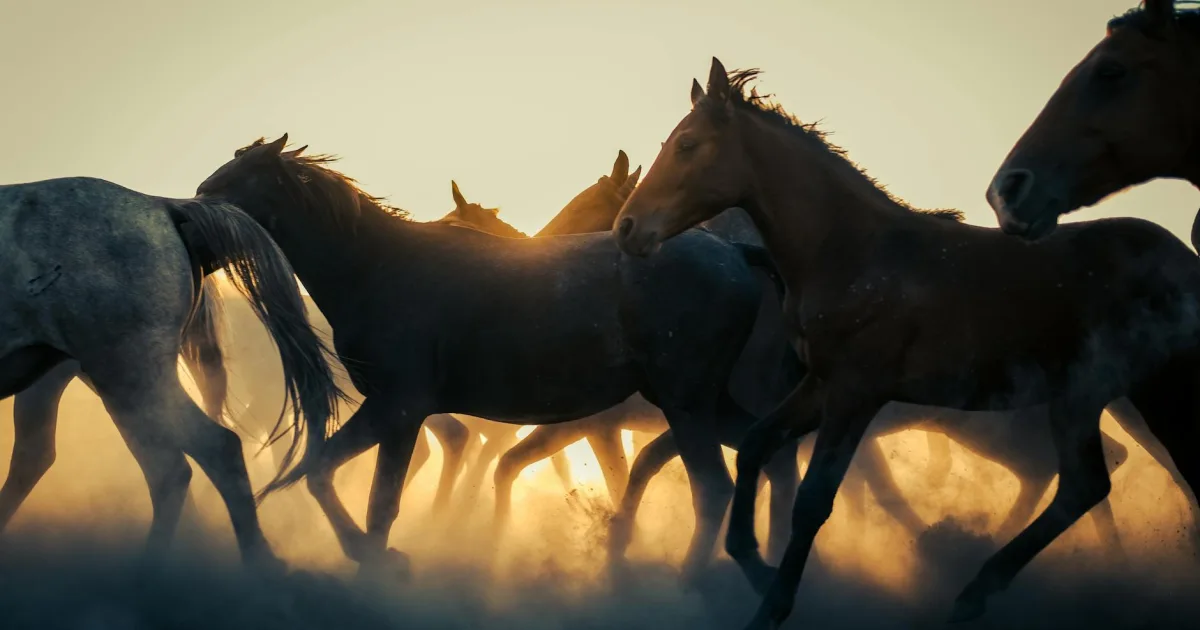 Downtown Cimarron, NM, NM