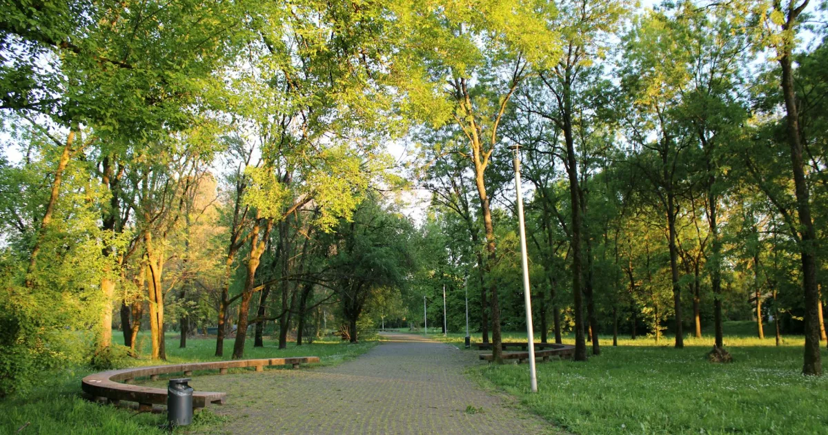 Downtown Cissna Park, IL, IL