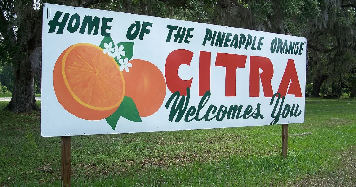 human settlement in Florida, United States of America