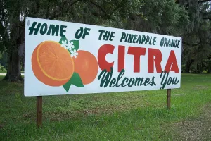 Downtown Citra, FL, FL