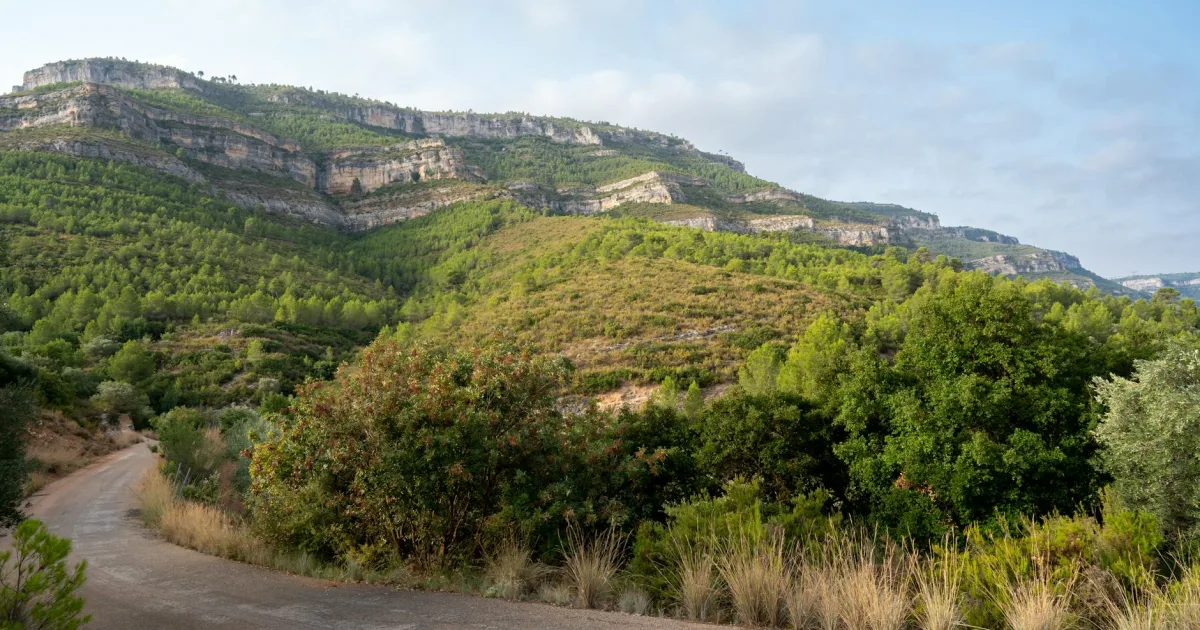 Downtown Clancy, MT, MT