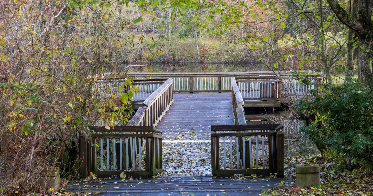 Downtown Clearbrook Park, NJ, NJ