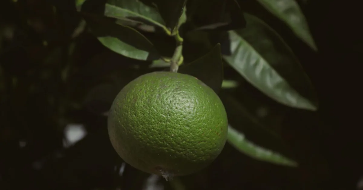 Downtown Clemons, IA, IA