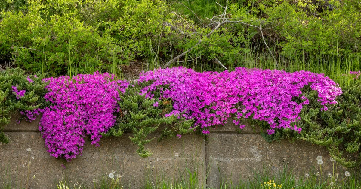 Downtown Clinton, IN, IN