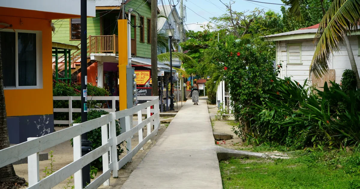 Downtown Clinton Village, MI, MI