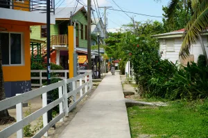 Downtown Clinton Village, MI, MI