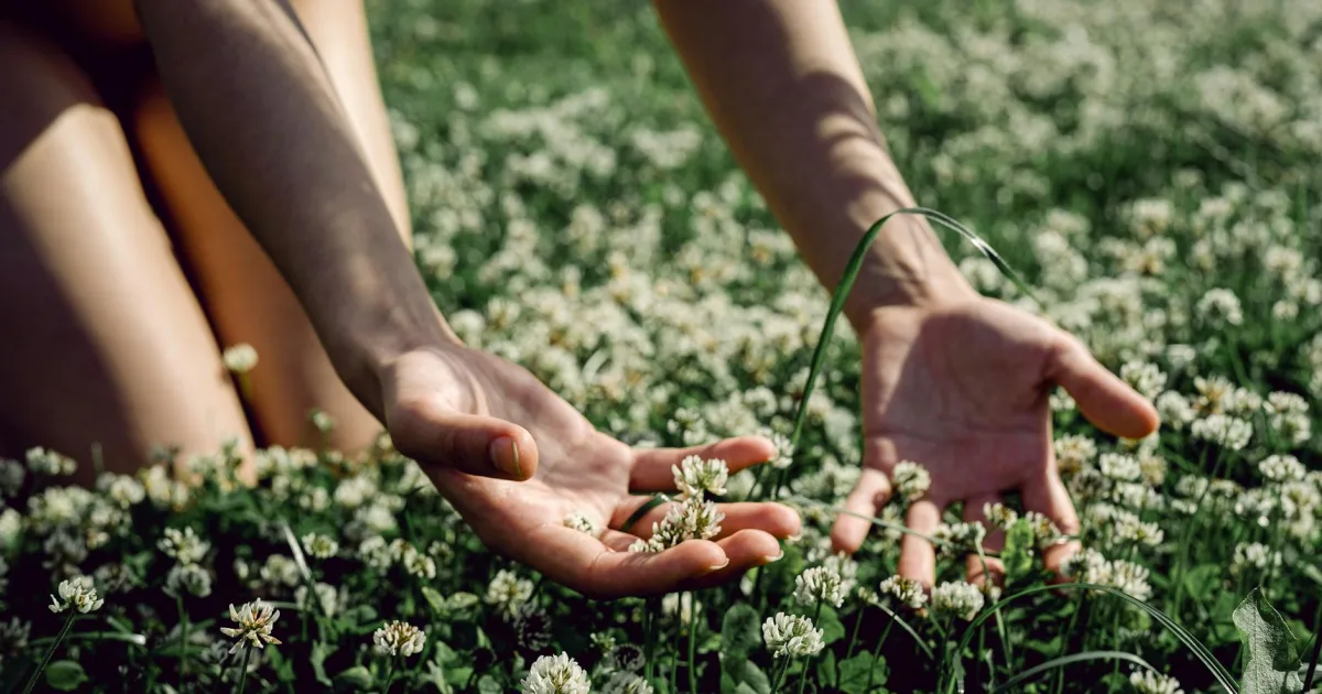 Downtown Cloverdale, VA, VA