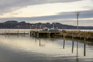 Downtown Clyde Hill, WA, WA
