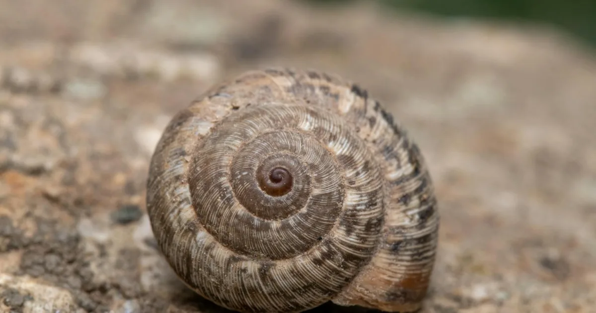 Downtown Coalinga, CA, CA
