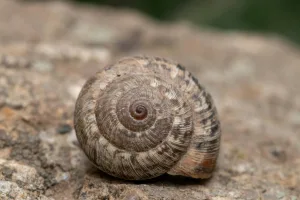 Downtown Coalinga, CA, CA