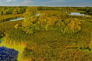 Downtown Cohasset, MN, MN