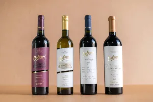 Downtown Colfax, WI, WI