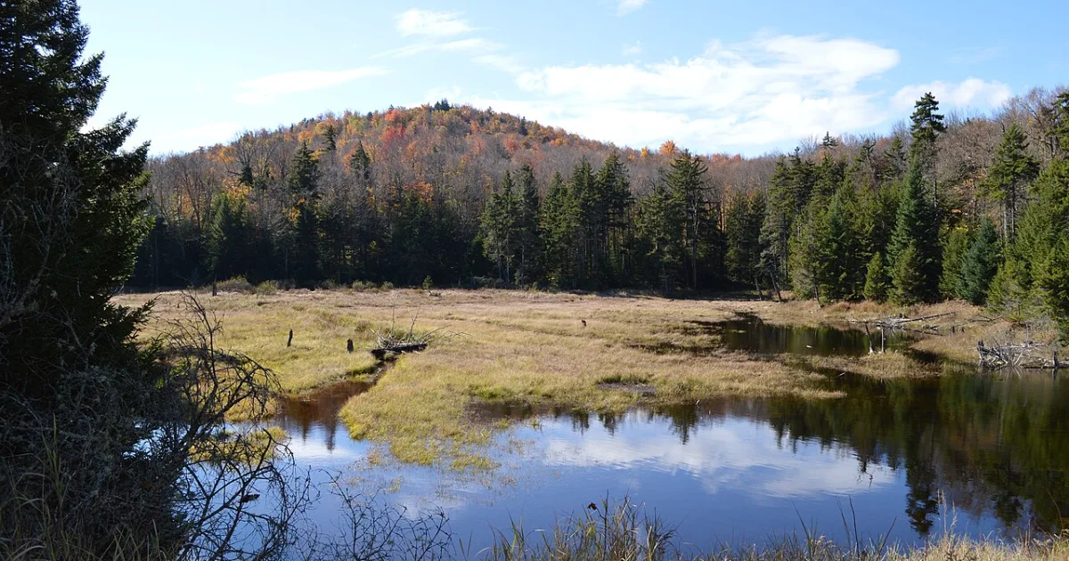 town in St. Lawrence County, New York, United States of America