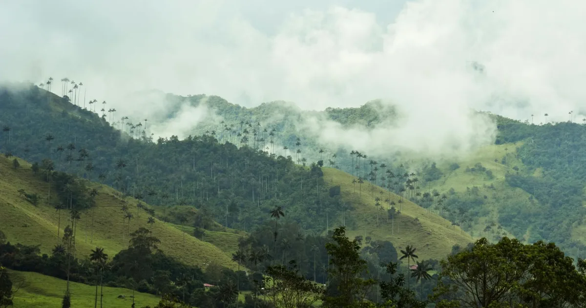 Downtown Columbia, IN, IN