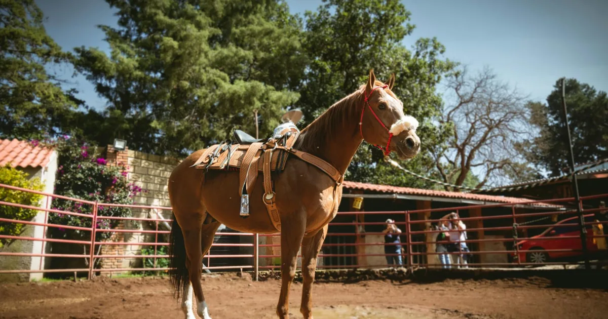 Downtown Corrales, NM, NM