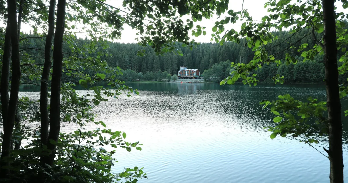 Downtown Cottage Lake, WA, WA