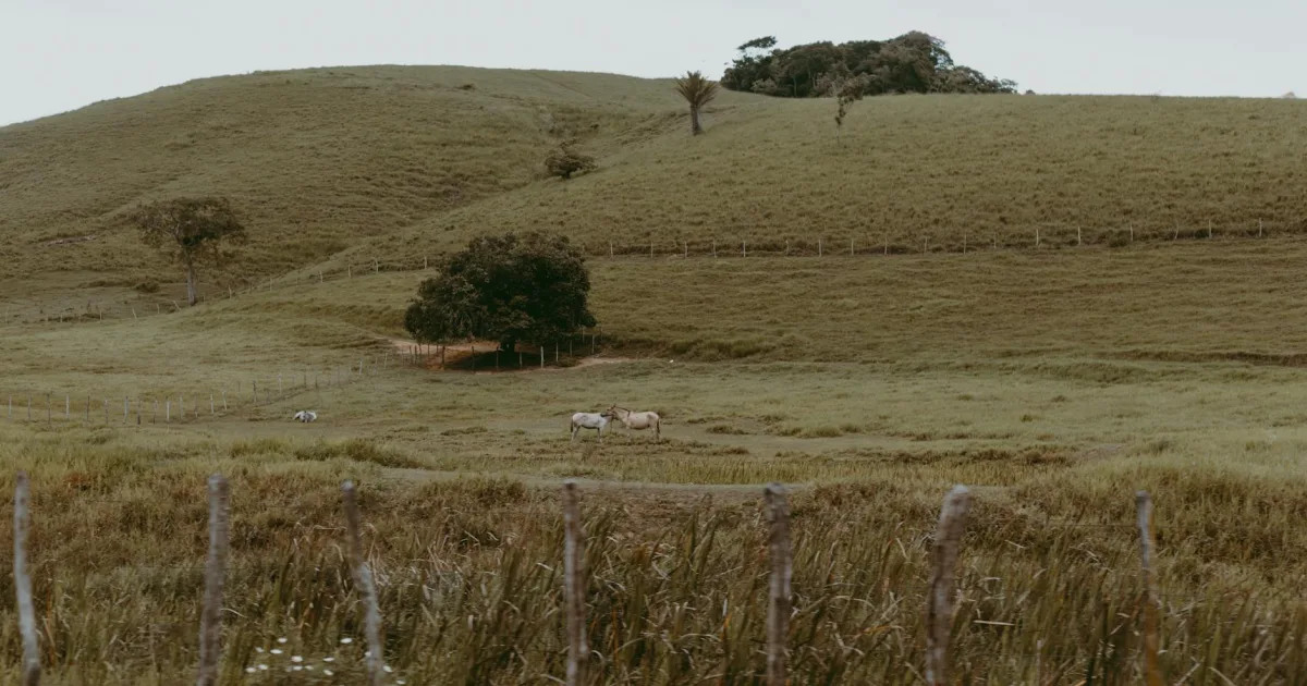 Downtown Countryside, VA, VA