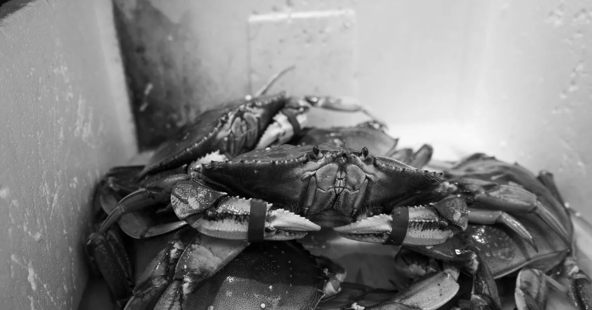 Downtown Crab Orchard, WV, WV