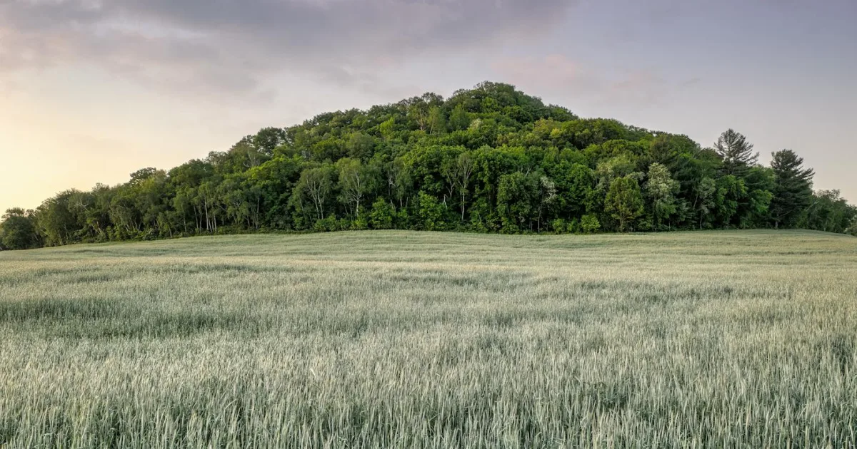 Downtown Crest Hill, IL, IL