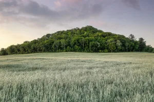 Downtown Crest Hill, IL, IL