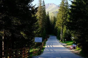 Downtown Creston, OH, OH