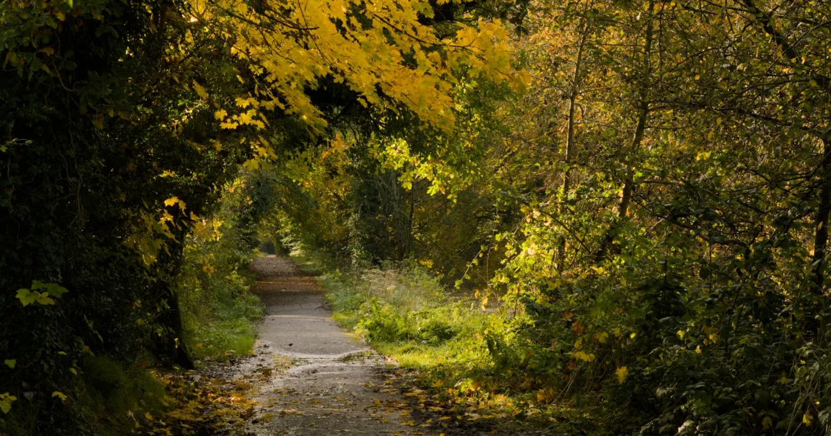Downtown Creswell, OR, OR