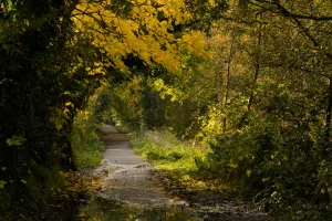 Downtown Creswell, OR, OR