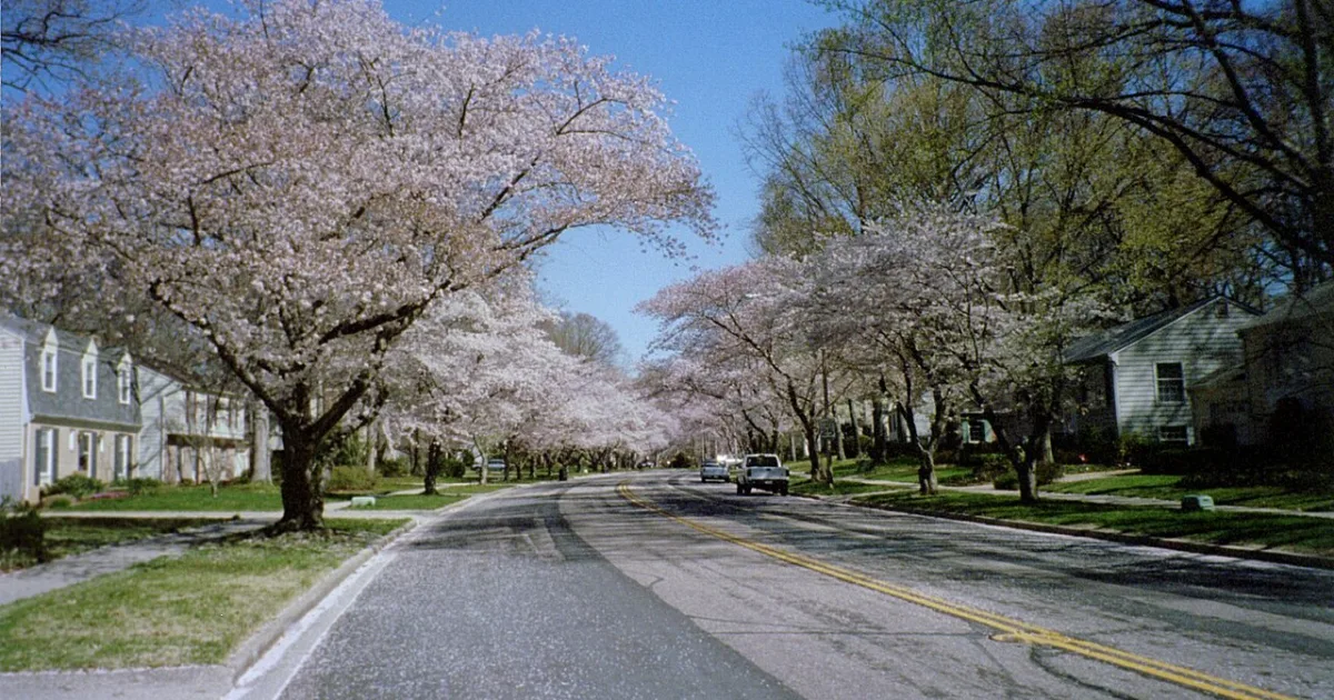 Downtown Crofton, MD, MD