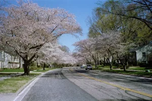 Downtown Crofton, MD, MD