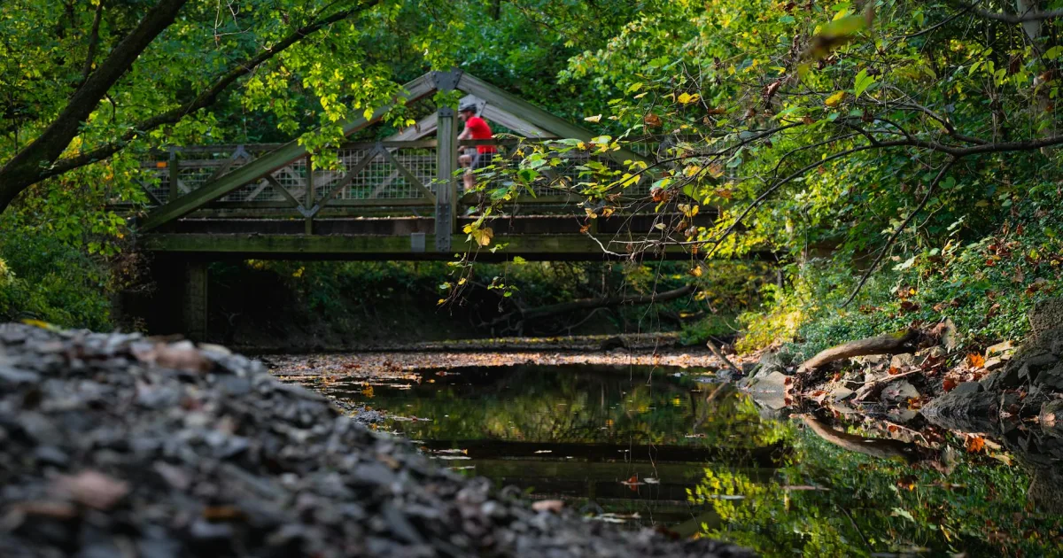 Downtown Cross Creek, PA, PA