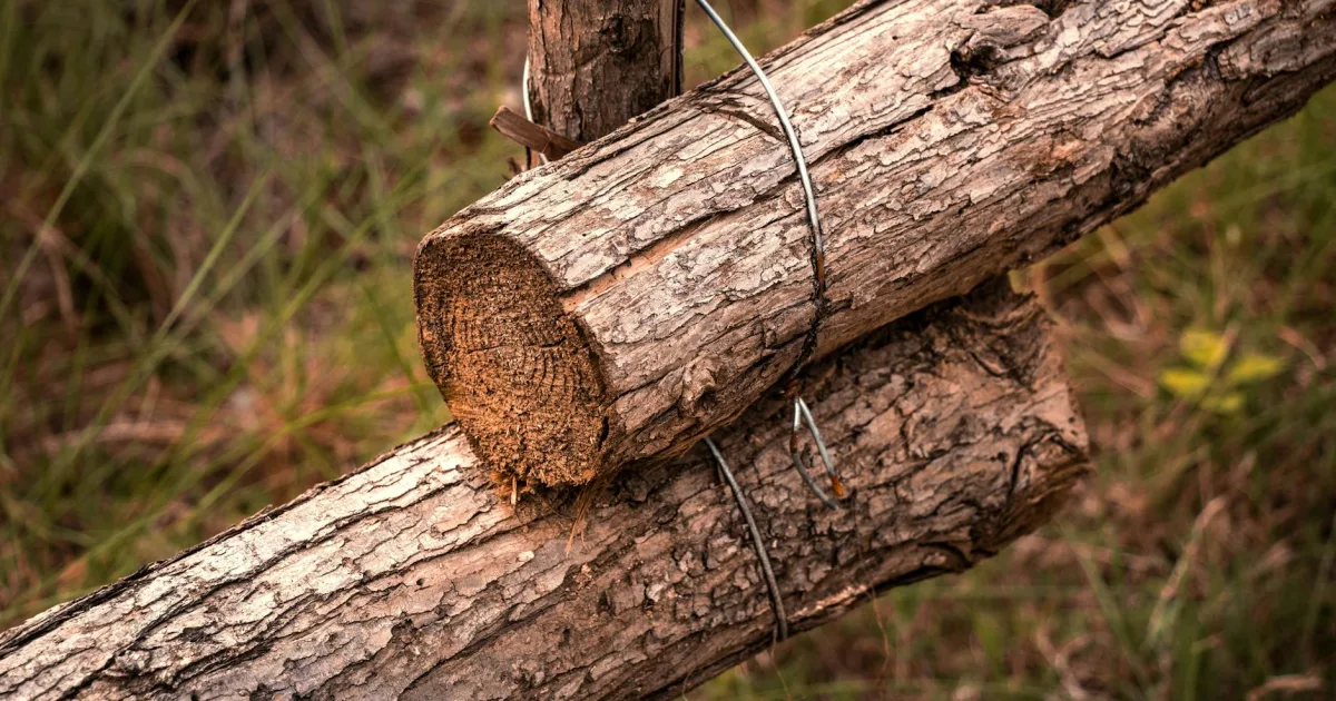 Downtown Cross Timber, TX, TX