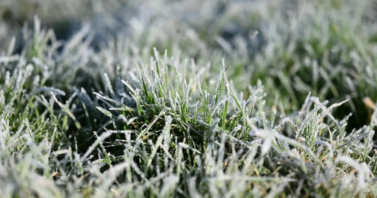 Downtown Crystal Lawns, IL, IL