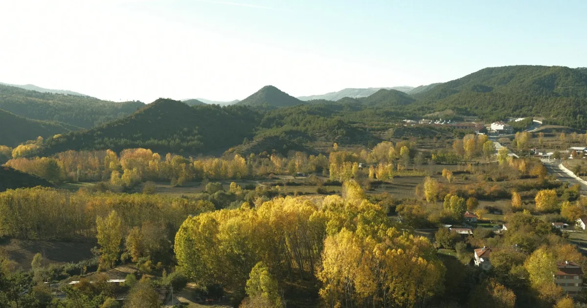 Downtown Culver, OR, OR