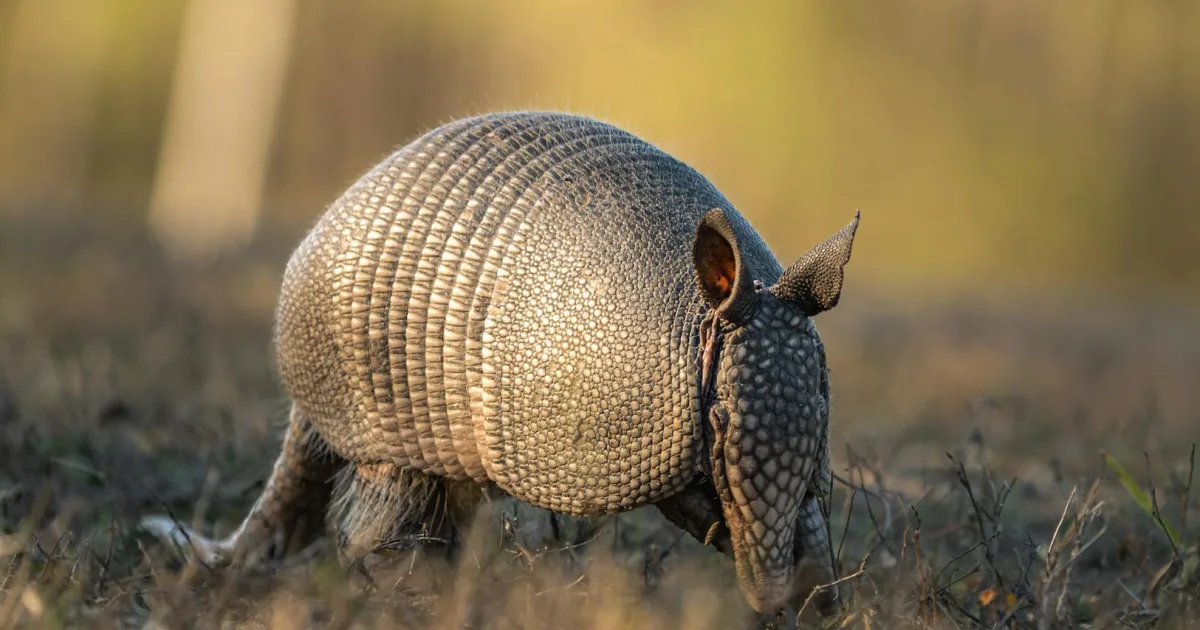 Downtown Cumberland, RI, RI