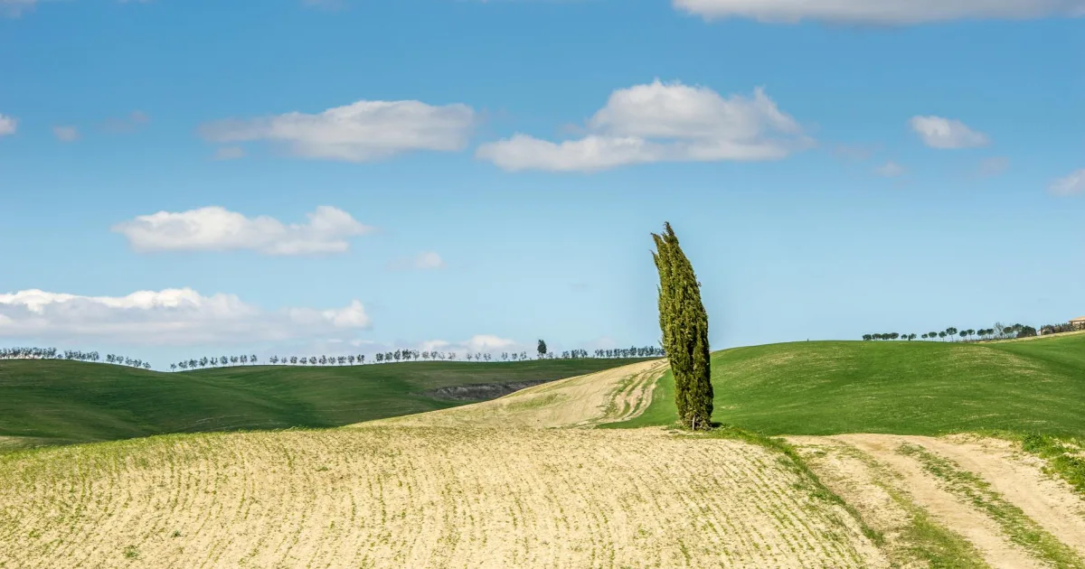Downtown Cypress Hills, NY, NY