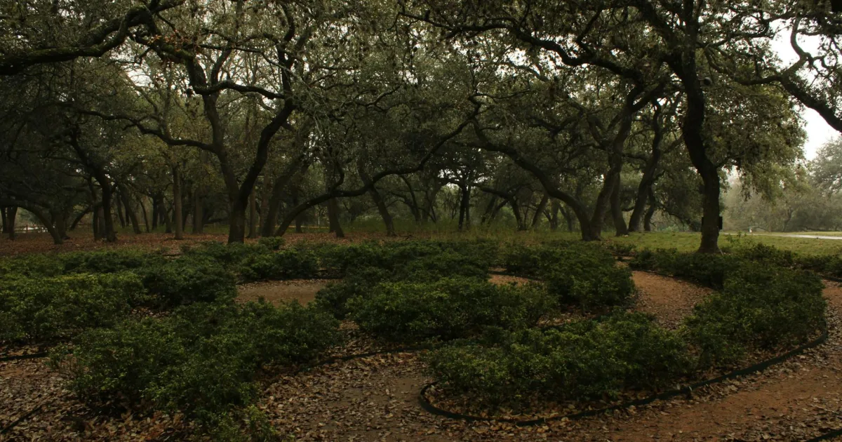 Downtown Dalworthington Gardens, TX, TX