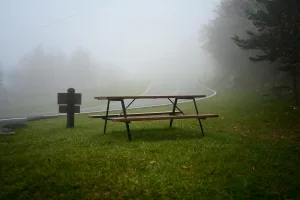 Downtown Dana, NC, NC