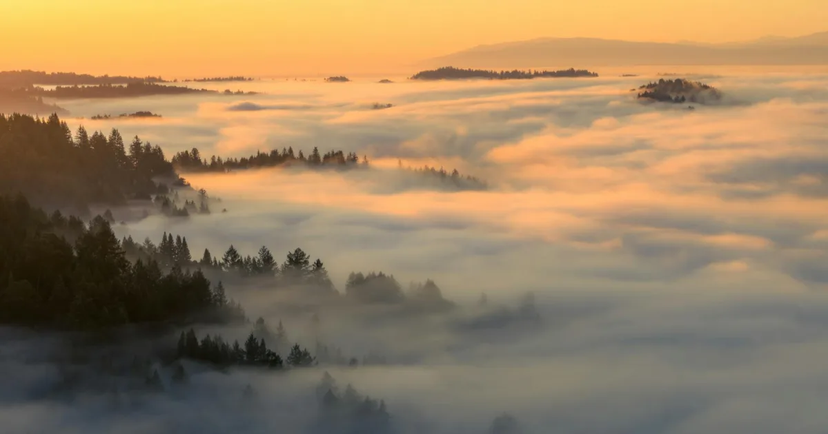 Downtown Danville, IN, IN