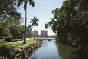 Downtown Davie, FL, FL