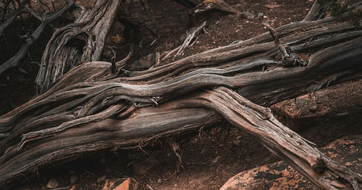 Downtown Deadwood, SD, SD