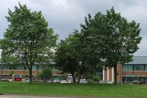 city in Wayne County, Michigan, USA