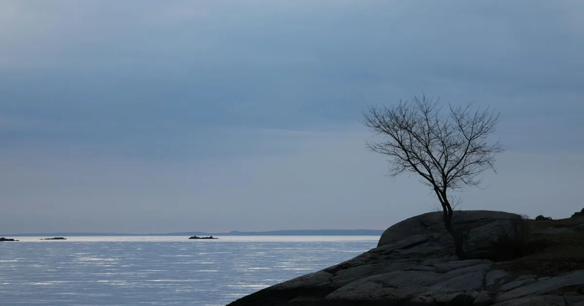 Downtown Deer Isle, ME, ME