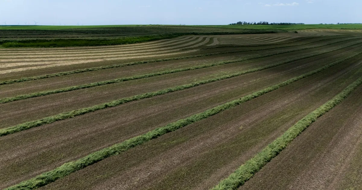 Downtown DeFries Landing, IN, IN