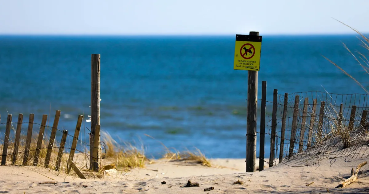 Downtown Delaware, OH, OH