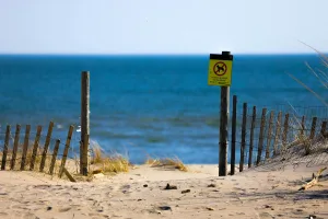 Downtown Delaware, OH, OH