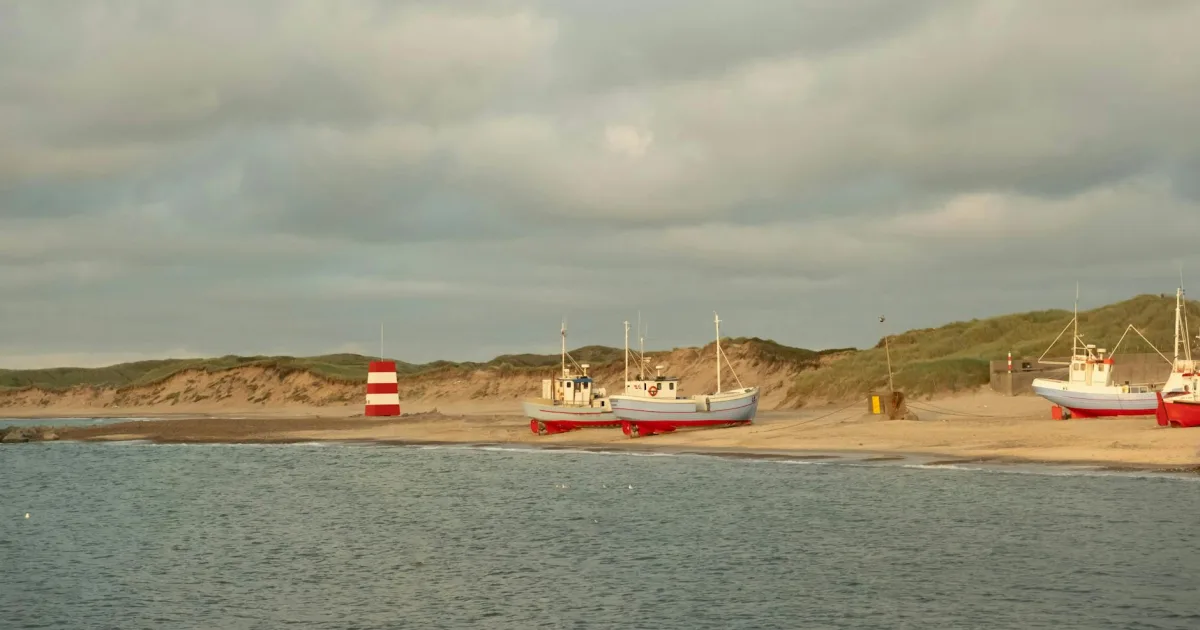 Downtown Denmark, SC, SC