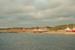 Downtown Denmark, SC, SC