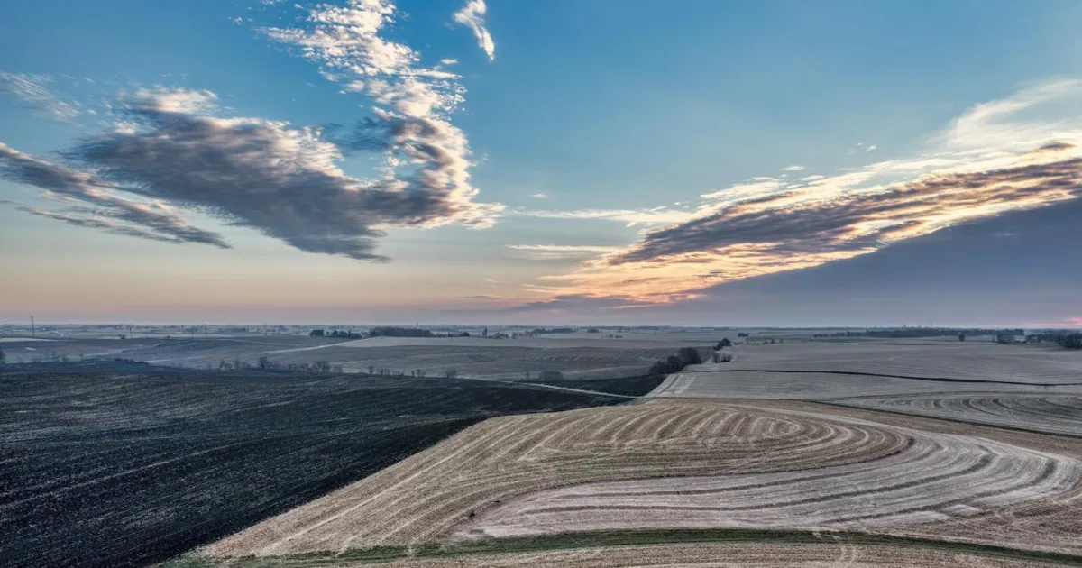 Downtown Des Plaines, IL, IL