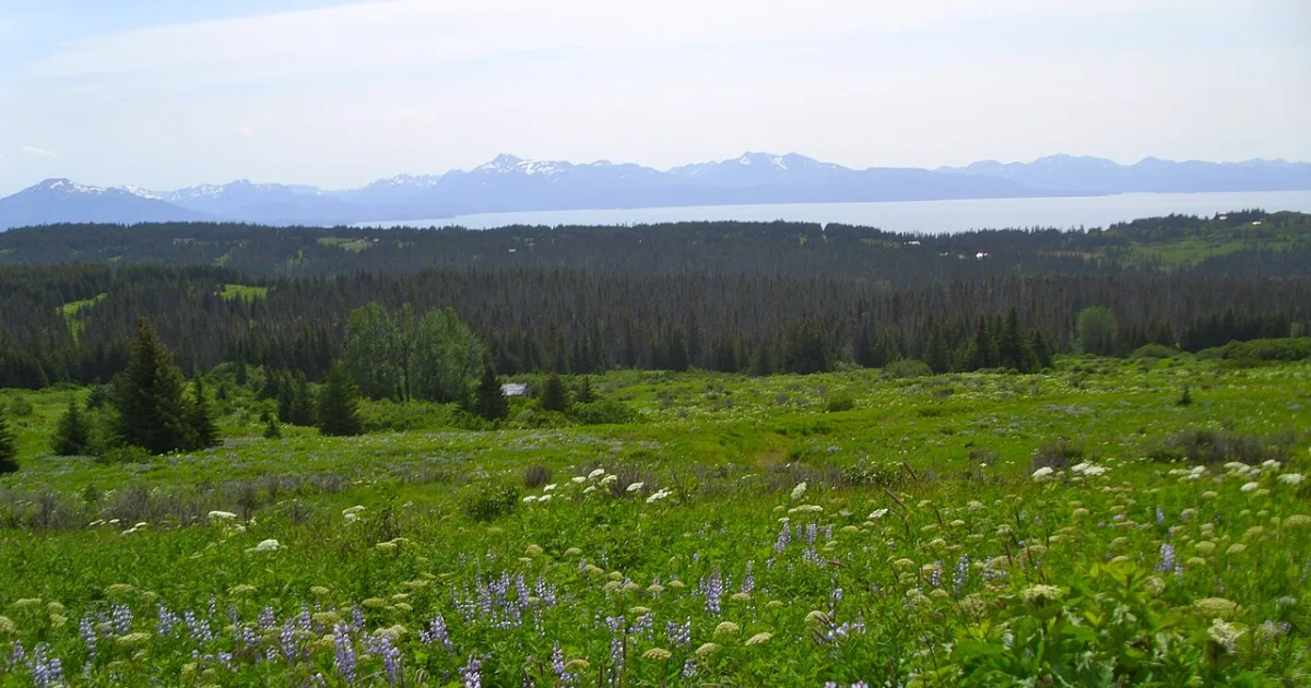 census-designated place in Kenai Peninsula Borough, Alaska